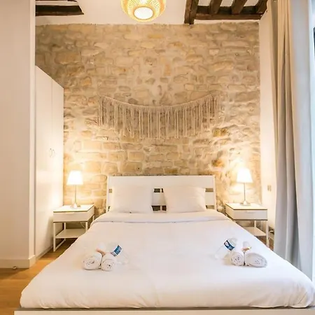 Coeur De Voltaire - Loft Cosy Parisien *