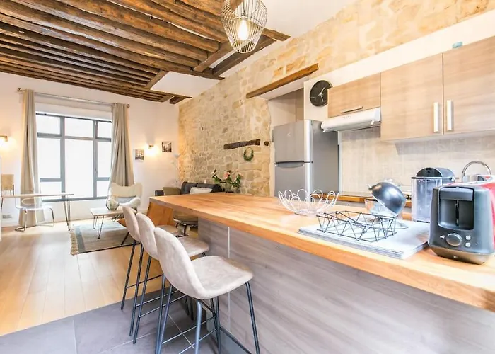 Apartamento Coeur De Voltaire - Loft Cosy Parisien *